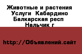 Животные и растения Услуги. Кабардино-Балкарская респ.,Нальчик г.